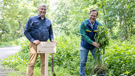 Euromaster startet Wald-Projekt mit PLANT-MY-TREE. Die Stiftung.:
